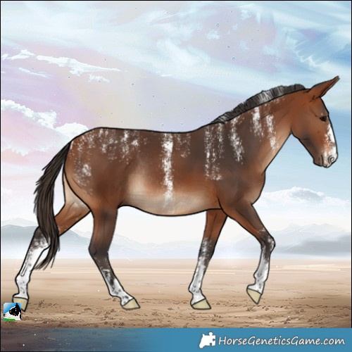 Horse Color:Powder White Bay Rabicano