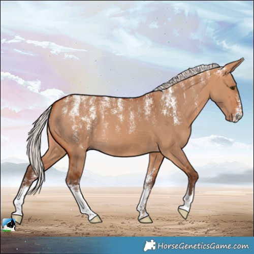 Horse Color:Powder White Silver Bay Dun
