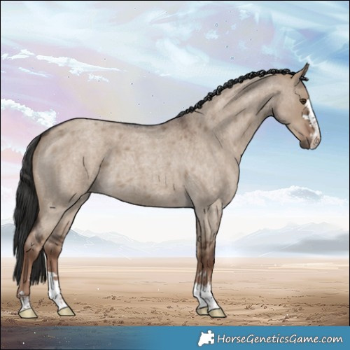 Horse Color:Liver Red Dun Roan