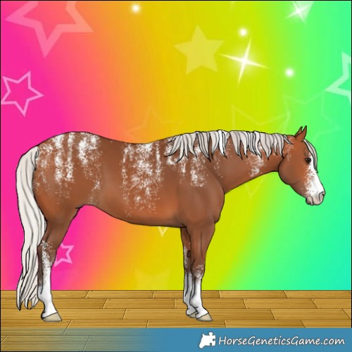 Horse Color:Powder White Silver Bay