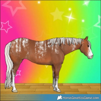 Horse Color:Powder White Silver Bay 
