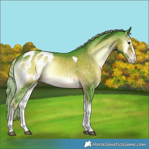 Horse Color:Watercolor Chocolate Palomino Onyx Splash Tobiano Appaloosa