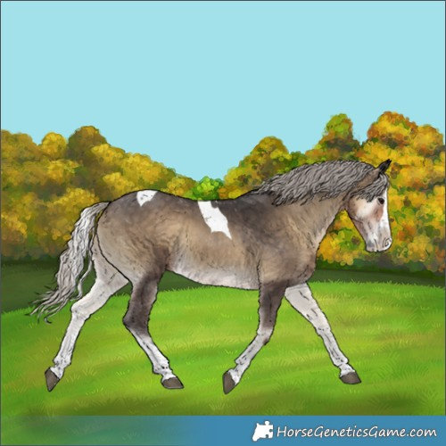 Horse Color:Silver Smoky Blue Onyx Splash Tobiano 