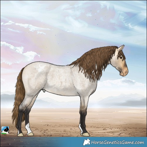 Horse Color:Buckskin Roan Dun Varnish Brindle