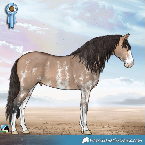 Horse Color:Bay Dun Sabino