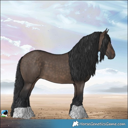 Horse Color:Brown Dun 