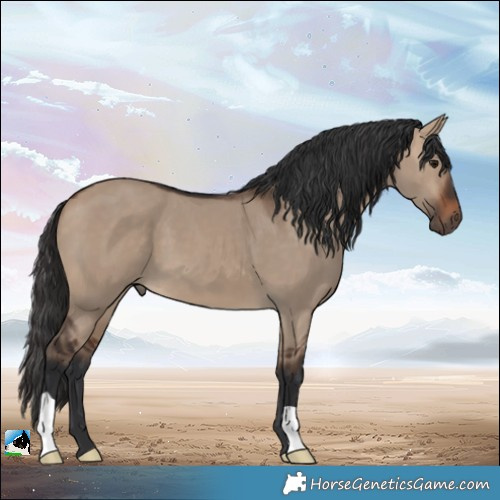 Horse Color:Brown Dun