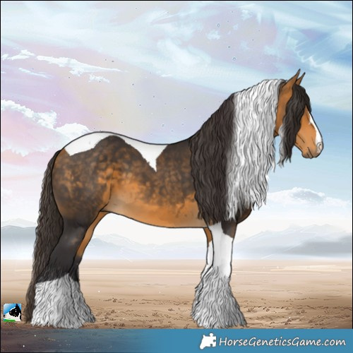 Horse Color:Buckskin Tobiano 