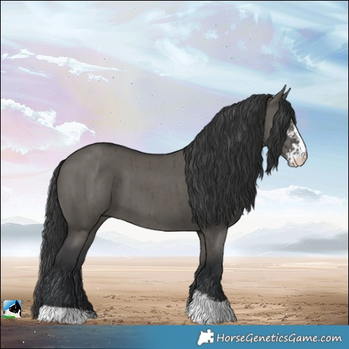 Horse Color:Grullo Sabino Brindle 