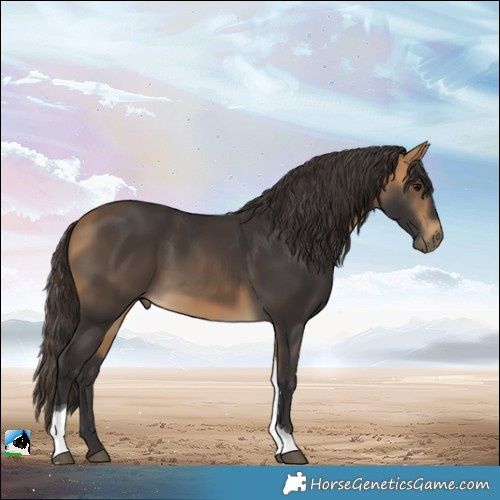 Horse Color:Buckskin Tobiano 
