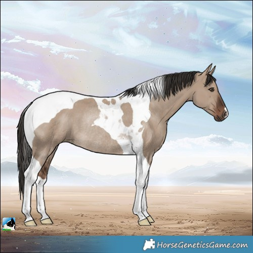 Horse Color:Liver Red Dun Tobiano Rabicano 