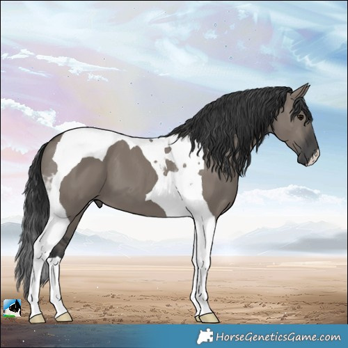 Horse Color:Grullo Tobiano 