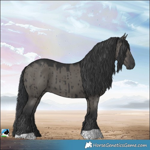 Horse Color:Grullo Brindle 