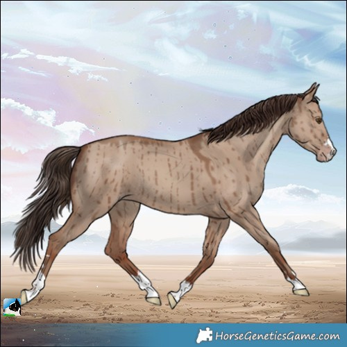 Horse Color:Classic Champagne Dun Brindle 