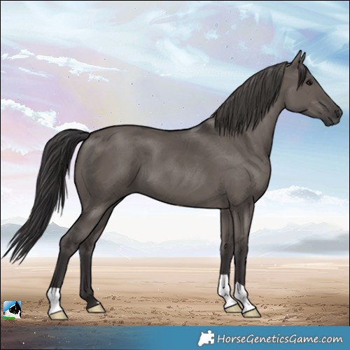Horse Color:Smoky Grullo 