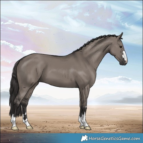 Horse Color:Smoky Grullo 