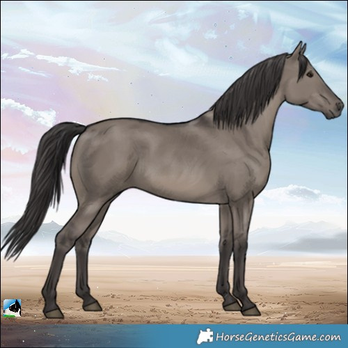 Horse Color:Smoky Grullo Rabicano 