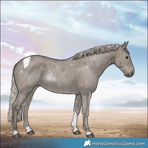 Horse Color:Silver Grullo Tobiano 