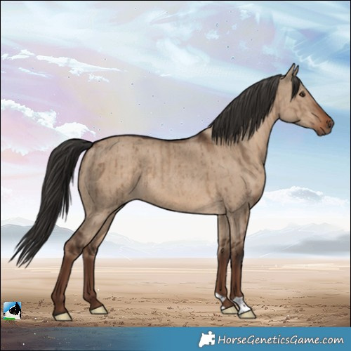 Horse Color:Liver Red Dun Brindle 