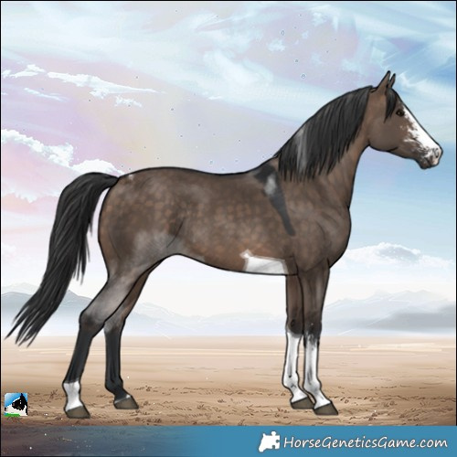 Horse Color:Brown Dun Sabino Tobiano Rabicano 