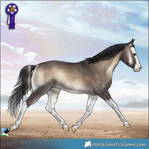 Horse Color:Brown Onyx Splash Rabicano 