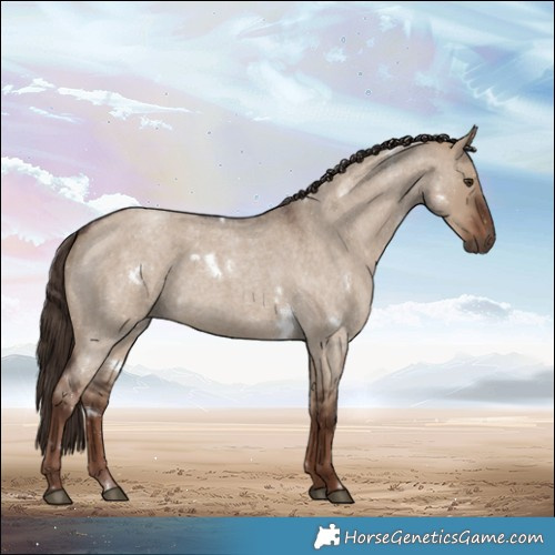 Horse Color:White Spotted Liver Red Dun Roan 
