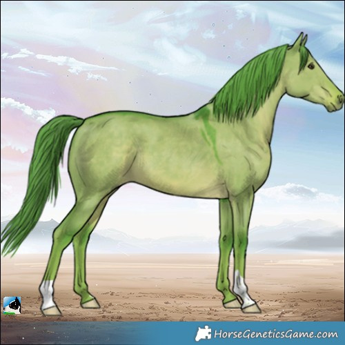 Horse Color:Watercolor Liver Red Dun 