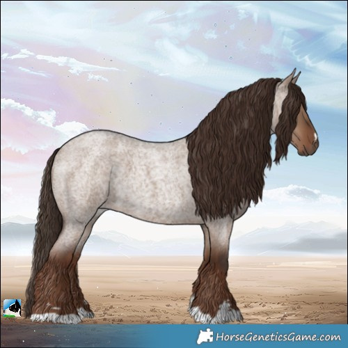 Horse Color:Liver Red Dun Roan 
