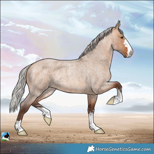Horse Color:Silver Bay Roan Dun Rabicano 