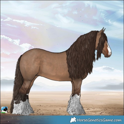 Horse Color:Liver Red Dun 