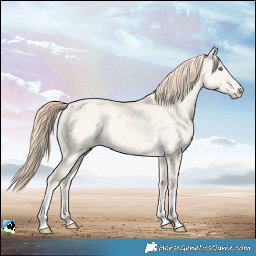 Horse Color:Perlino Dun Tobiano 