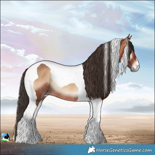 Horse Color:Bay Onyx Tobiano Rabicano 