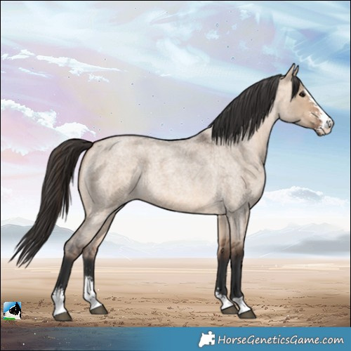 Horse Color:Bay Roan Dun Sabino 