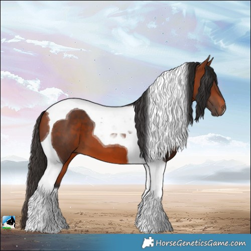 Horse Color:Bay Tobiano 