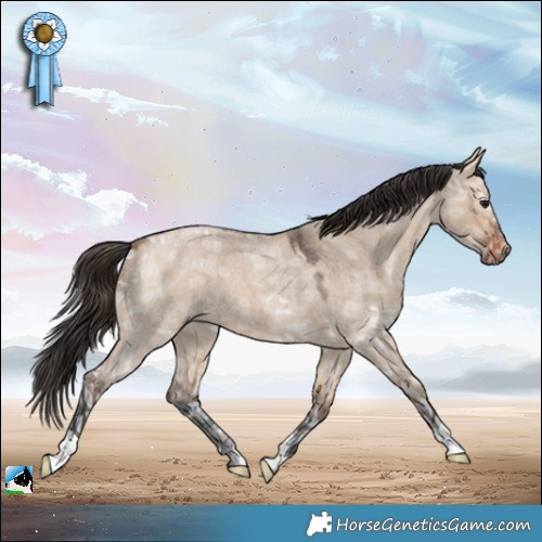 Horse Color:Bay Ice Roan Dun 
