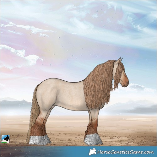 Horse Color:Red Dun Roan 