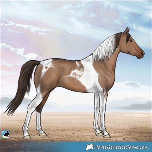 Horse Color:Liver Red Dun Tobiano