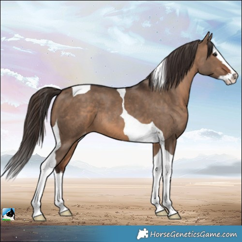 Horse Color:Brown Dun Splash Tobiano Varnish 
