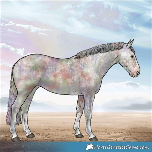 Horse Color:Nacre Silver Brown Ice Dun Sabino Rabicano 