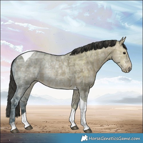Horse Color:Plaid  Brown Ice Dun Tobiano 