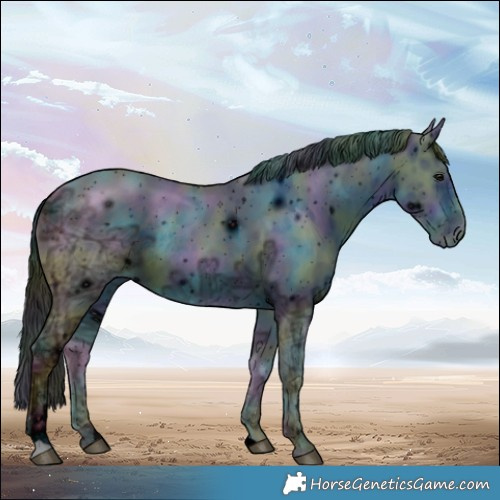 Horse Color:ERROR: UNKNOWN ANOMALY