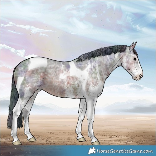 Horse Color:Nacre White Spotted Brown Ice Mushroom Tobiano 