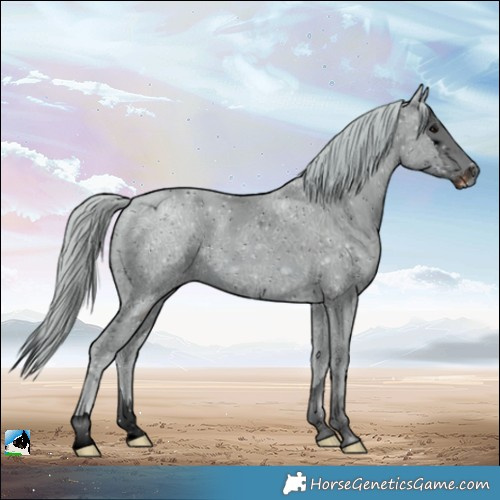 Horse Color:ERROR: UNKNOWN ANOMALY