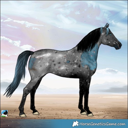 Horse Color:ERROR: UNKNOWN ANOMALY