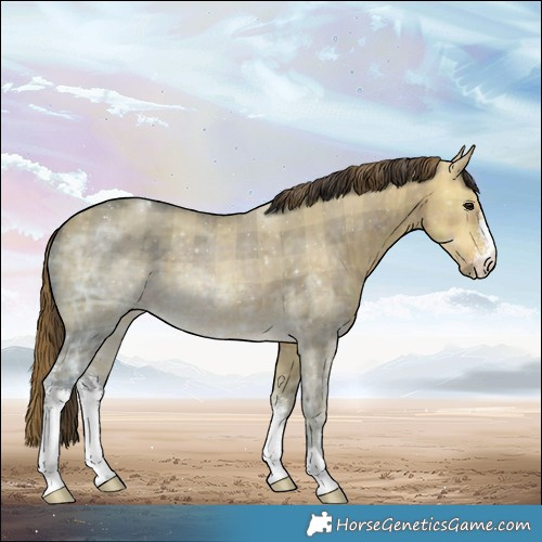 Horse Color:Plaid  Buckskin Ice Dun Sabino 