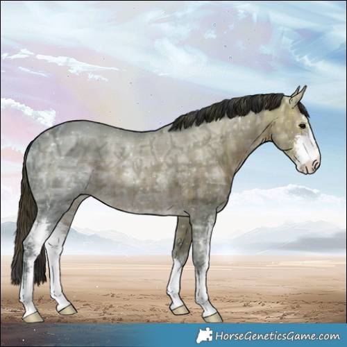 Horse Color:Plaid  Brown Ice Sabino 