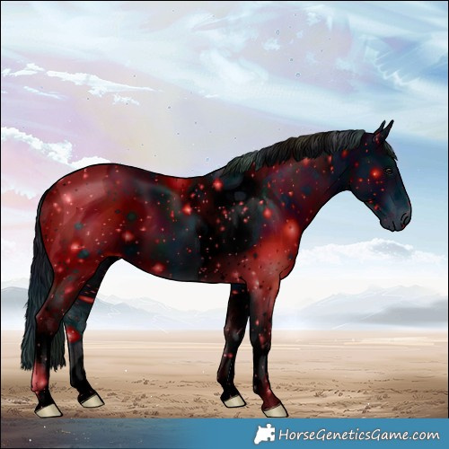 Horse Color:ERROR: UNKNOWN ANOMALY
