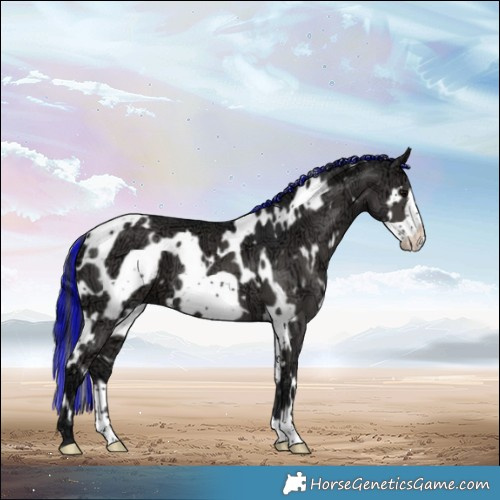 Horse Color:Painted White Spotted Black Ice Frame 