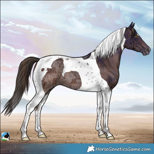 Horse Color:Amber Champagne Ice Tobiano 