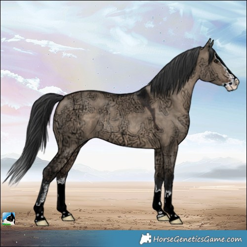 Horse Color:Brown Ice Dun Sabino Splash Rabicano